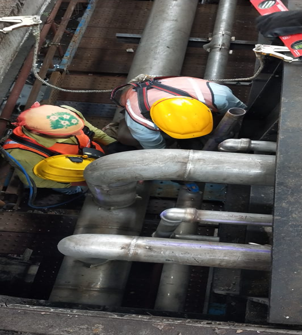 Plant Fabrication
